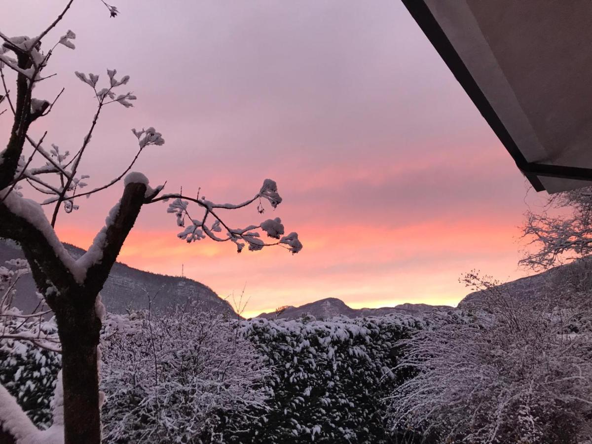 드레나 El Campizol 아파트 외부 사진